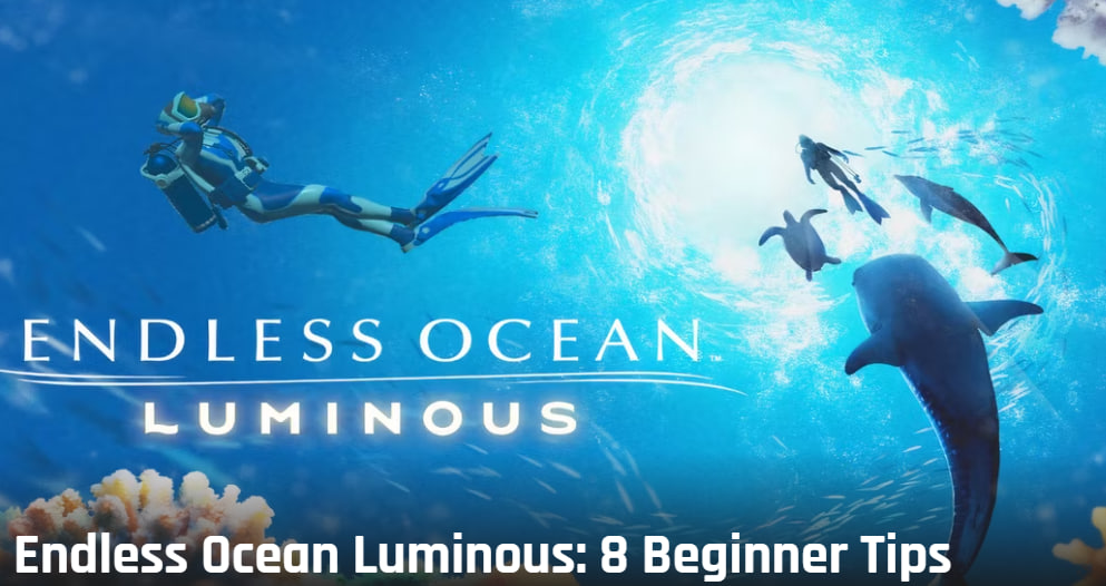 Endless Ocean Luminous